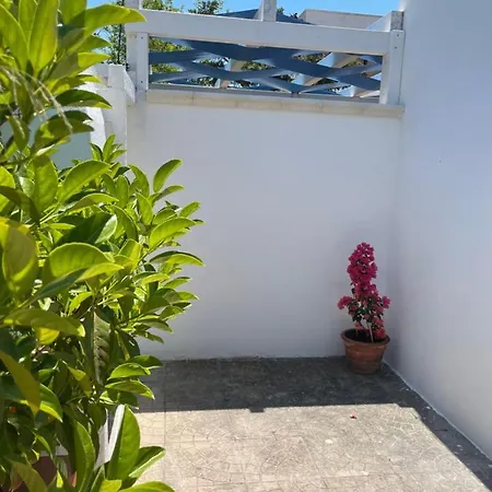 Raffa Salento 別荘 *